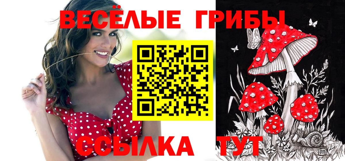 что такое   Псилоцибиновые грибы Magic Shrooms  Вход с VPN  Сальск 