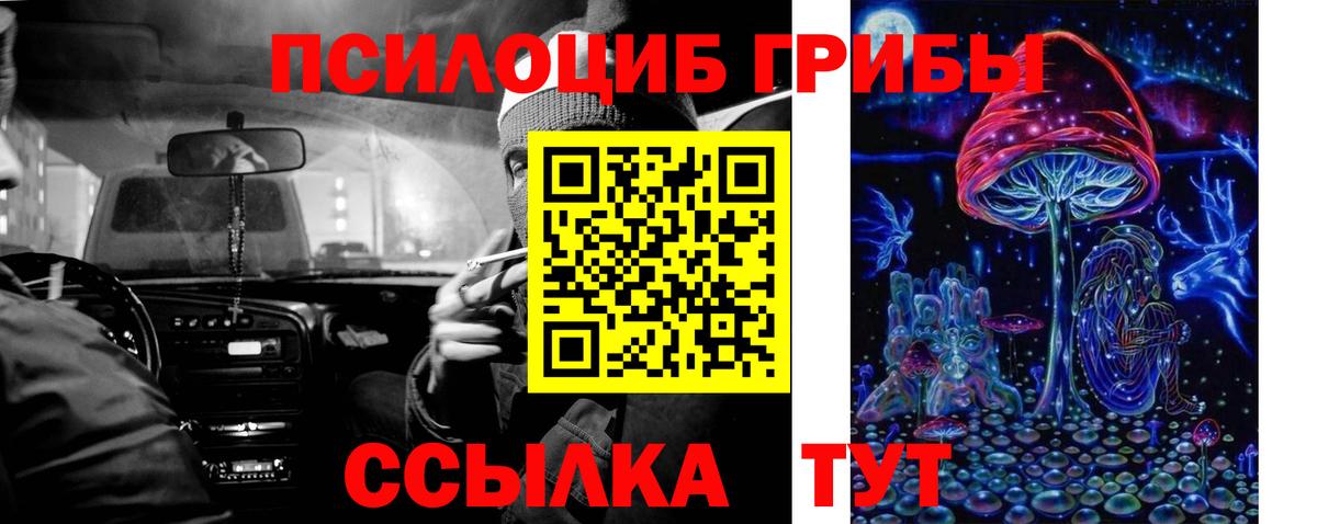Псилоцибиновые грибы Psilocybe Сальск